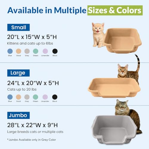 KittyGohere Senior Cat Litter Box Small with Scoop, Beach Sand | Open Top Low Entrance Kitty Litter Box With With Long-handle Jumbo Scoop, Lightweight & Durable Litters Box, Made in USA - color: Beach Sand, size: Small with Scoop