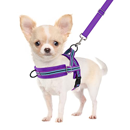 SlowTon No Pull Small Dog Harness and Leash Set with Front Clip | Soft Padded, Neck & Chest Adjustable, Lightweight, Anti-Twist, Puppy Vest Harness Pet Lead Combo for Small Medium Dog, PU XS - color: Purple, size: X-Small
