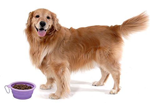 Collapsible Silicone Water Travel Bowl with Clip for Dog and Cat, Portable and Durable Pop-up Feeder for Convenient On-The-go Feeding – Size: Large (5 Cups) Purple – 2 Pack - color: PURPLE, size: LARGE (5 CUPS) - 2 PACK