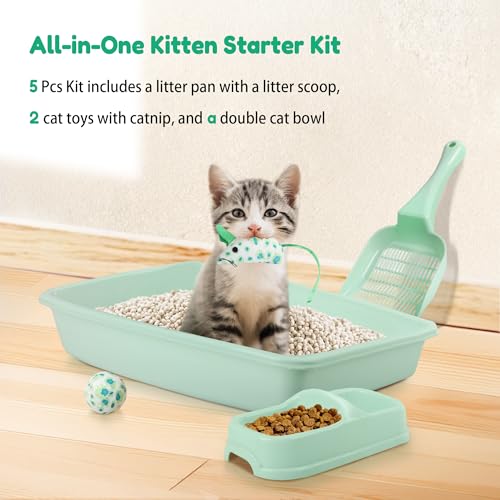 PAWISE Cat Litter Box Set, Small Kitten Starter Kit, Includes Litter Box, Litter Scoop, Double Dish Feeding Bowl, Cat Mouse Toy, Kitty Ball Toy, Green - color: Green