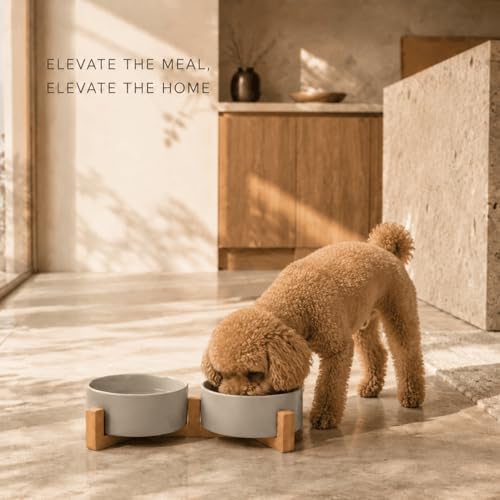 SPUNKYJUNKY Ceramic Dog and Cat Bowl with Wood Stand Non-Slip Matte Glaze Weighted Food Water Set for Cats &Small Dogs 13.5OZ - color: Grey × 2, size: 1.7 cups