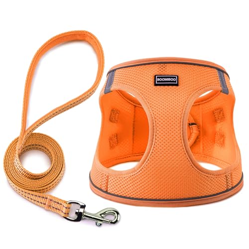 Dog Harness with Leash Set, Step-in Adjustable Puppy Pet Vest, Orange XXS | Lightweight Breathable Air Mesh, Night Safety Reflective, No Pull Puppy Vest Harnesses for Small Medium Large Dogs, Cats - color: Orange, size: XXS(Chest:10"-12")