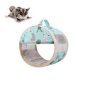 Small Pet Carrier Bag Portable Travel Carrier for Hamster Rat Baby Guinea Pig Sugar Glider Hedgehog Small Birds (M, Green) - color: Green