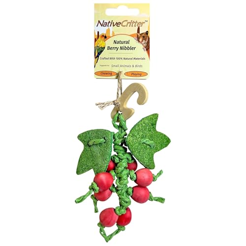 Exotic Nutrition Chew Toy Bundle - Natural Interactive Chew Toys - Chinchillas, Guinea Pigs, Hamsters, Rabbits, Degus, Prairie Dogs, Small Pets