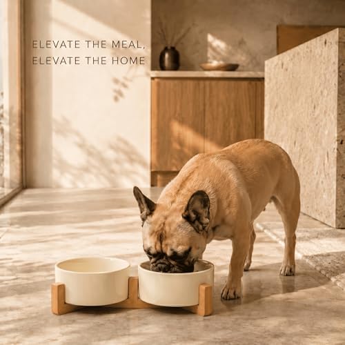 SPUNKYJUNKY Ceramic Dog and Cat Bowl Set with Wooden Stand, Modern Cute Weighted Food Water Set for Small Size Dogs (13.5OZ) & Medium Sized Dogs (28.7OZ) & Cats (3.6 Cups, 2 × Beige) - color: Beige × 2, size: 3.6 cups