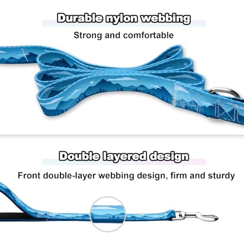 4ft Dog Leash with Two Padded Handles, Heavy Duty Strong Nylon Pet Leash with Soft Neoprene Handle for Small Medium Large Dogs, Blue Sunset - color: Blue Sunset, size: 1 in x 4 ft