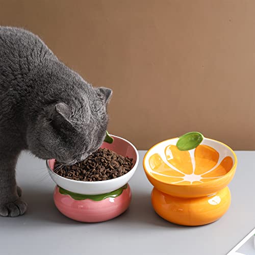 Ceramic Raised Cat Bowl, Pink, Strawberry Shaped | Elevated Food Bowl, Indoor Cats, Anti-Vomiting & Spine Protection, Cute Tilted Pet Dish, For Flat-Faced Cats and Kittens - color: Pink