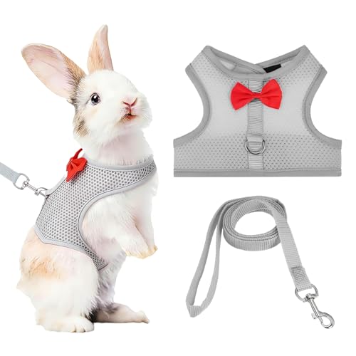 Rabbit Harness and Leash, Small Pet Cute Vest Harness Leash Soft Adjustable Buckle Breathable Mesh (L, Gray) for Bunny Kitten Small Pig Puppies Camping Hiking Training - color: Gray, size: L
