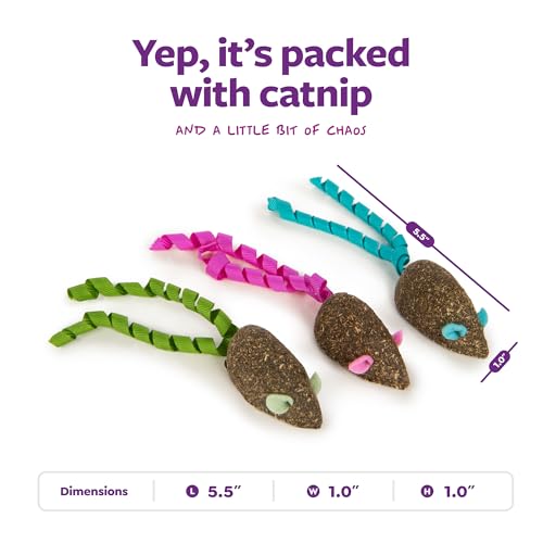 SmartyKat Magic Mice Compressed Catnip and Ribbon Cat Toys, Mess-Free for Hunting & Batting Fun for Cats & Kittens, Set of 3 - style: Magic Mice