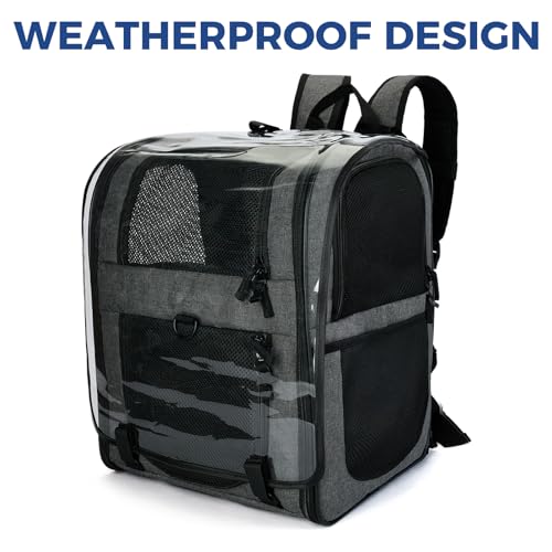 Apollo Walker Cat Carrier Backpack for Small Dogs and Cats Up to 18 lb | Expandable space, Four-Sided Breathable Mesh, Stability Package, Removable Pad,3D back panel,Thickened shoulder straps - color: Gray-expandable