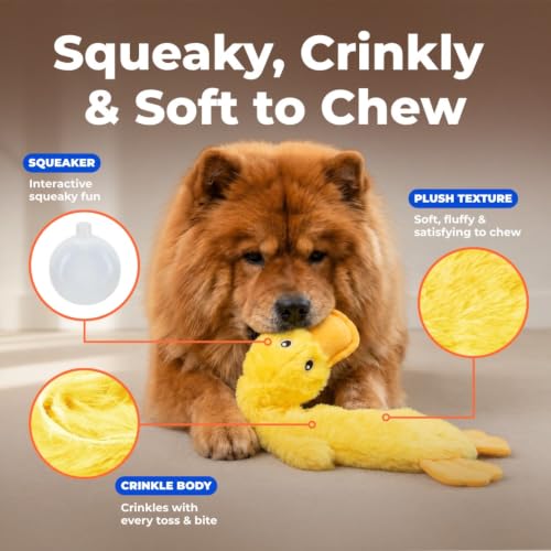 Best Pet Supplies Interactive Squeaky Dog Toy - Crinkle Duck, Yellow | Stuffing Free Body, Soft, Squeaks & Crinkles, No Mess, Perfect for Moderate Chewers, Toss and Fetch Play - color: Crinkle Duck (Yellow), size: Large