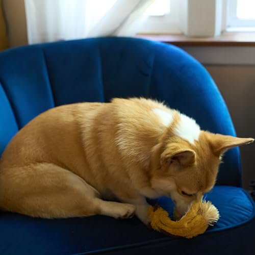 SPOT Skinneeez Fox – 14" Stuffing-Free Plush Squeaky Dog Toy for Small & Medium Dogs, Best for Light to Moderate Chewers, Mess-Free Play - style: Mini Fox