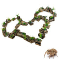 Jumping Spider Enclosure Accessories 30 Pcs Small Cork Bark for Tarantula Hide Spider Terrarium Decorations Reptiles Habitat Decor (Bark with Small Grasses)