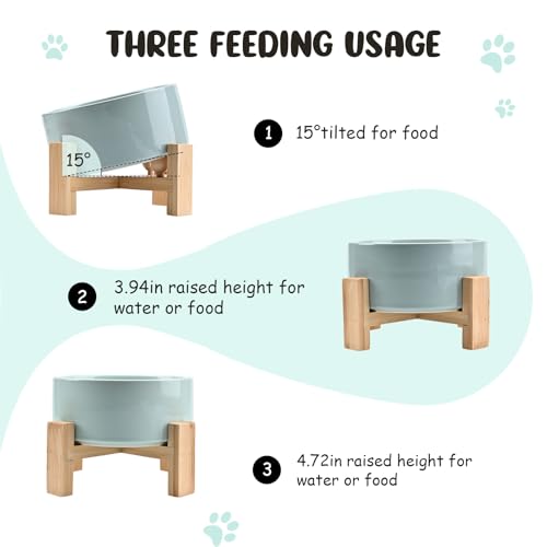SPUNKYJUNKY 15° Slanted Ceramic Dog and Cat Bowl with Wooden Stand, Tilted Bulldog Food and Water Bowl No Slip Non-Spill for Cats Medium Dogs Big Face Pets 28.7 OZ (3.6 Cups, Morandi Green) - color: Morandi Green, size: 3.6 CUPS × 1