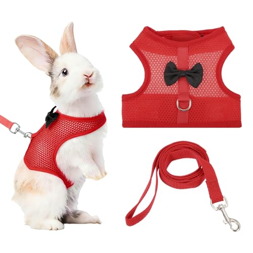 Rabbit Harness and Leash, Small Pet Cute Vest Harness Leash Soft Adjustable Buckle Breathable Mesh (L, Red) for Bunny Kitten Small Pig Puppies Camping Hiking Training - color: Red, size: L