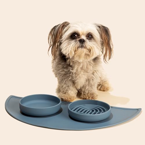 Slow Feeder Dog Bowls - Small Size Silicone Slow Eating Dog Bowl for Puppies & Dogs with Suction Cup -Dishwasher-Safe, Lick Mat Design, Reduces Gulping, for All Breeds, 6”x1.25”- Ocean - color: Ocean - Rainbow Design, size: Small (6” Across x 1.25” Tall)