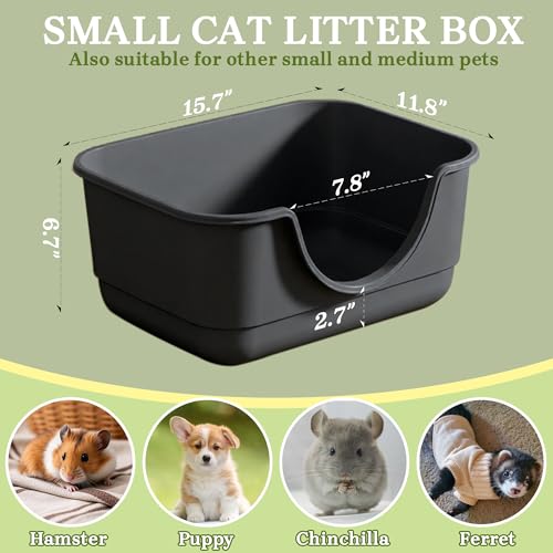 Low Entry Small Litter Box for Kittens, Kitty Plastic Litter Boxes, Open Top, Anti-Splash High Sided Litter Tray Pan for Medium Pets, Puppy, Easy to Clean, 15.7" L*11.8" W*6.7" H (Black) - color: Black-1 Pack