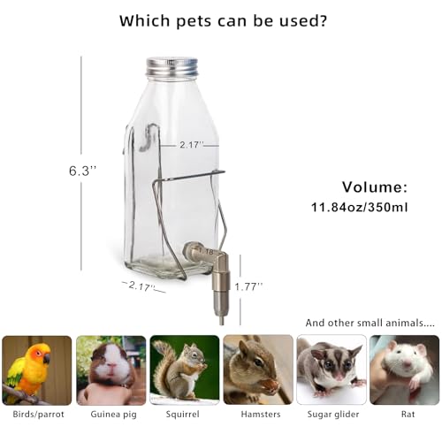Guinea Pig & Rabbit Water Bottle, 350ml No-Drip Chew-Proof Glass Dispenser with Stainless Steel Nozzle for Hamster, Squirrel, Bird, Guinea Pig Cage (350-S)
