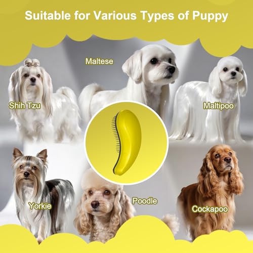 Small Dog Brush, Skin-friendly Soft Bristles (Yellow) | Puppy Hair Brush, Massage and Bath Supplies, Pet Grooming Tool for Teddy, Yorkies, Maltese, Shih Tzu, Chihuahua - color: Yellow