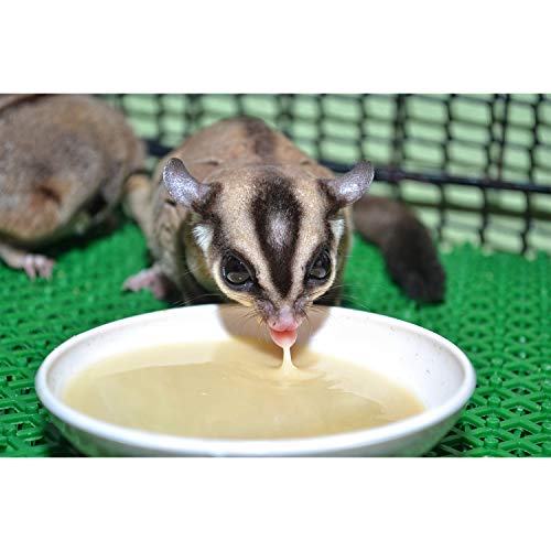 Honey & Fruit Instant-HPW (8 oz.) - All Natural Vitamin Enriched Sugar Glider Food - Healthy & Nutritious - High Protein Wombaroo - Staple Diet - size: 8 Ounce (Pack of 1)