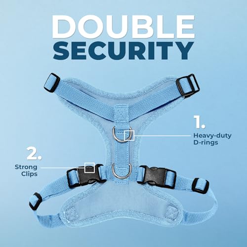 Voyager Step-in Lock Dog Harness - Baby Blue, Medium | 17 - 21" in Chest, Adjustable, Breathable Air Mesh, Lightweight for Daily Walks, Strong Clips, Heavy Duty D-Ring - color: Harness (Baby Blue), size: M (Chest: 17 - 21")