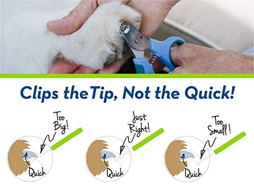 Zen Clipper Pet Nail Clipper for Dogs – Dog Nail Clipper for Safer Dog Grooming and Nail Care - Clean, Quiet, and Easy-to-Use Stainless Steel Dog Nail Trimmer - (4mm Hole) - size: X Large - 4mm hole