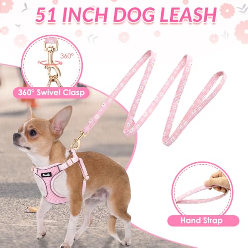 Lukovee Puppy Harness and Leash Set, No Pull Step in Lightweight Mesh Vest | Soft, Reflective, Easy Put on and off, Adjustable, Breathable Air Mesh, with 51in Leash for Walking Hiking (Pink, XS) - color: Pink, size: X-Small (4.5-11 lb)