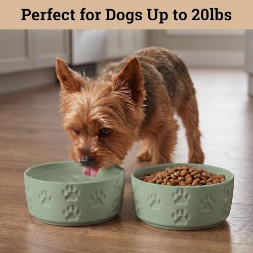 Ceramic Dog Bowl Set of 2 with Anti-Skid Base, 5.5"W x 2"H, 2 Cup Capacity | Thick Ceramic, Dishwasher Safe, Anti-Skid Rubber Base, 2 Cups per Bowl, Ceramic Food and Water Bowls Set of 2 for Small Dogs - color: Sage Green, size: Small