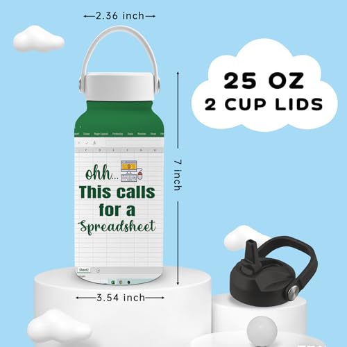 25oz Accounting Water Bottle with Straw Lid & Direct-drink Lid - Accounting Stainless Steel Water Bottles, BPA-free Leakproof Sports Waters Bottle for School Travel, Gifts Cup for Accountant - color: Accounting
