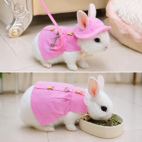 5PCS Rabbit Harness and Leash Set with Dress Hat Bag and Plush Charm for Baby Bunny Guinea Pig Chinchilla, Cute Pink Bunny Clothes Outfit,S,7034-07 - color: Pink, size: S Fits 1.1-2.2lb Baby Bunny Guinea Pig Chinchilla