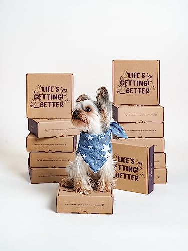 Ceramic Slow Feeder Dog Bowls Small Breed, 0.5 Cups Dog Food Dish for Fast Eaters, Puzzle Bowl for Small Dogs and Cats, 5.5 Inch-Blue - color: Blue