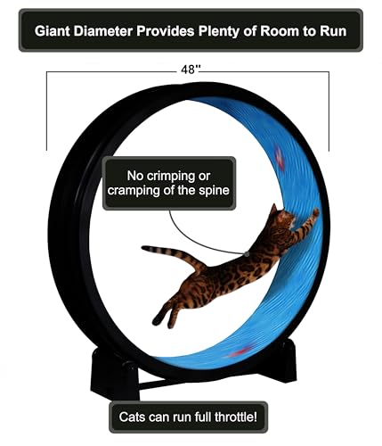 One Fast Cat - Cat Exercise Wheel - Made in the USA - 48" Diameter - Gen. 7 | Black with Koi Pond Foam Traction Pads and Solid Black Inline Wheels - color: Black Wheel / Koi Pond Foam / Black Inline