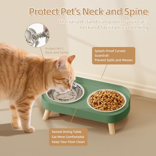 Elevated Cat Bowl, Raised Cat Food and Water Bowl Set for Indoor Cats, Splash Proof with 2 Stainless Steel Pet Food Bowls for Cats and Puppies, Whisker Fatigue and Dishwasher Safe - Green - color: Cat Bowls-Green