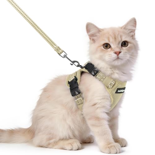 rabbitgoo Cat Harness and Leash Set, Easy-on with Neck Buckle, Cream Coffee | Escape Proof, No Over-the-head, Soft Air Mesh, 3 Lockable Adjusters & Buckles, Reflective, for Kittens & Small Cats Walks, Xs - color: Cream coffee, size: Xs