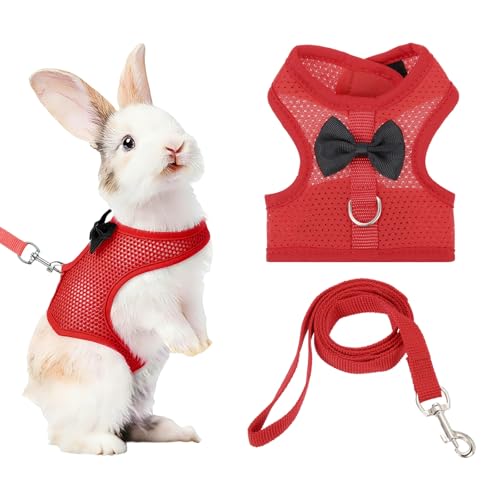 Rabbit Harness and Leash, Small Pet Cute Vest Harness Leash Soft Adjustable Buckle Breathable Mesh (S, Red) for Bunny Kitten Small Pig Puppies Camping Hiking Training - color: Red, size: S