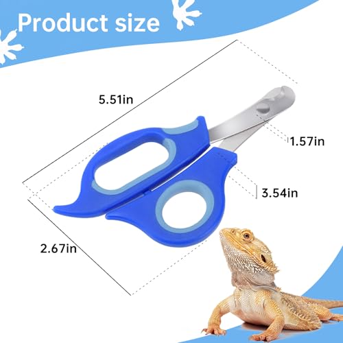 KEUYE Bearded Dragon Nail Clippers,Stainless Steel Bearded Dragon Toe Nail Clippers with Precise Angled Edges (Blue) - color: Blue
