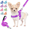 Lukovee Small Dog Harness and Leash Set, No Pull Soft Padded Vest | Both Neck & Chest Adjustable, Reflective, Puppy Harness with 4ft Lightweight Anti-Twist Dog Leash for Small Dogs (Purple,XXS) - color: A-Purple, size: XXS ( Chest 11.5'' ~ 15'')