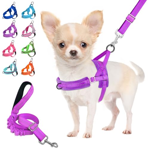 Lukovee Small Dog Harness and Leash Set, No Pull Soft Padded Vest | Both Neck & Chest Adjustable, Reflective, Puppy Harness with 4ft Lightweight Anti-Twist Dog Leash for Small Dogs (Purple, XS) - color: A-Purple, size: XS ( Chest 14'' ~ 18'')