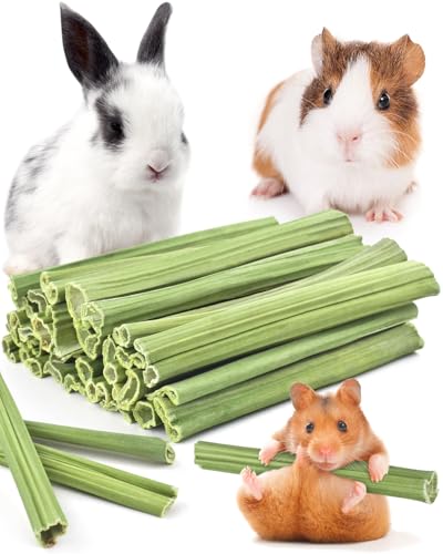 Bissap Rabbit Chew Sticks 35PCS, Natural Papaya Stems Bunny Chews Treats for Rabbits Hamsters Chinchillas Guinea Pigs Small Animals Organic Molar Chewing Snack