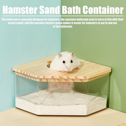 Hamster Sand Bath Container with Ladder, 1 Count | Small Animal Sand Bath Shower, Easy Cleaning, For Dwarf Hamsters, Gerbils, Chinchillas, Pet Bathing Accessories