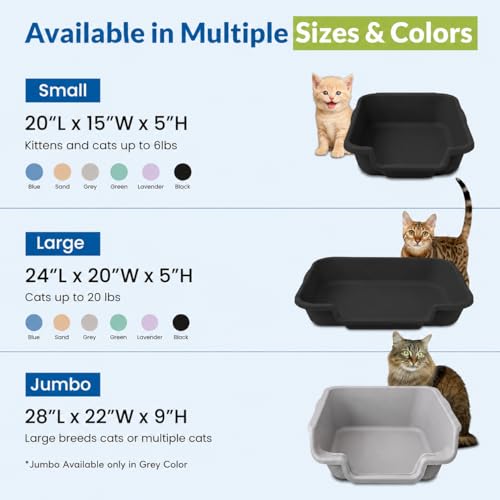 KittyGoHere Senior Cat Litter Box, Large with Jumbo Scoop, Black | Open Top Low Entrance Kitty Litter Box With Long-handle Jumbo Scoop, Lightweight Low Entry Litters Box, Durable, Made in USA - color: Black, size: Large with Scoop