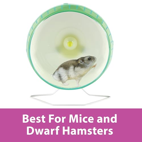 Kaytee Silent Spinner Wheel For Pet Mice and Dwarf Hamsters, Mini 4.5 Inch - size: Mini 4.5"