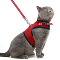 PUPTECK Soft Mesh Cat Vest Harness and Leash Set Puppy Padded Pet Harnesses Escape Proof for Cats Small Dogs, Red Large - color: Red, size: L(NECK 8.5"-10.5", CHEST 12.5"-15", 6-10 lbs)