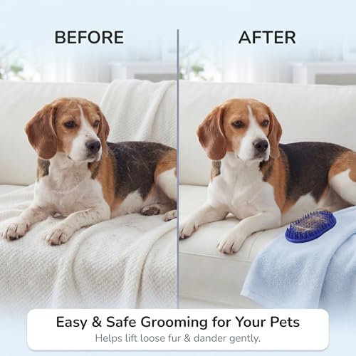 Pets&Goods Rubber Grooming Brush for Dogs & Cats - Gentle Deshedding Bath Brush for Short & Medium Hair - Soft Bristles, Anti-Slip Grip, Easy to Clean - color: Blue