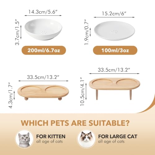 Havniva Elevated Cat Bowls, Cat Food and Water Bowl Set, Ceramic Cat Bowl | Raised Cat Food Bowls, Whisker Friendly, 5.6” Shallow Cat Dishes + 6” Wide Cat Plates, Non-Slip Wood Stand, Two Heights - color: White, size: 2 Bowls+2 Dishes