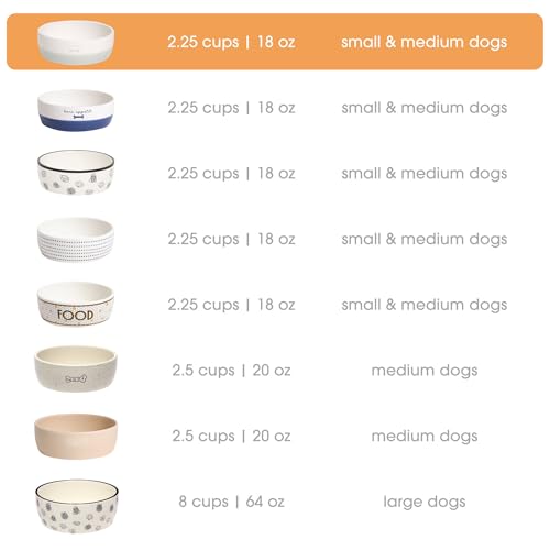 Pearhead Ceramic Bone Appétit Dog Bowl, Small/Medium 2.25 Cups/ 18 oz, Gray - color: Gray Bone Appetit Bowl, size: Small