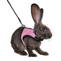 Niteangel Adjustable Soft Harness with Elastic Leash for Rabbits (M, Pink) - color: Pink, size: M