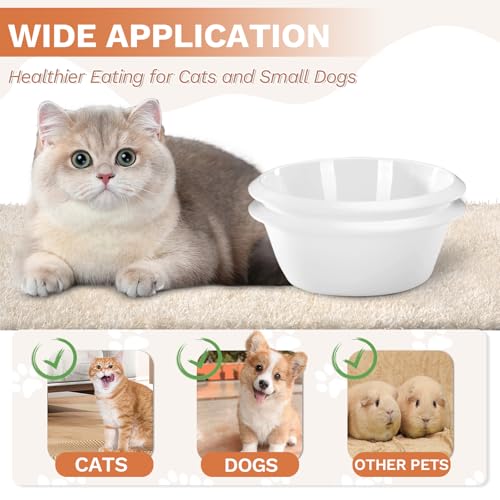 2PCS Cat Bowls Pet Feeding Dish 6.3 Inch, Wide Pet Bowl Pet Feeding Bowl for Indoor Cats, Replacement Food and Water Bowl, Wide Shallow Feeder Bowls for Kitten, Puppy, Rabbit (White) - color: White
