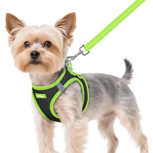rabbitgoo Dog Harness Small Sized and Leash Set, Step in Soft Vest | Breathable Mesh, Easy Wear with Hook & Loop, Light and Reflective for Walking, Multi-colored, Black & Green, XS - color: Black & Green, size: XS (Chest: 13.3"-15.5")