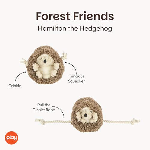 P.L.A.Y. Cute Plush Dog Toys - Forest Friends Critter Themed Durable Squeaker Crinkle Chew Toy, Great for Puppies & Small, Medium, Large Dogs - Machine Washable, Recycled Materials (Hedgehog) - style: Hamilton the Hedgehog